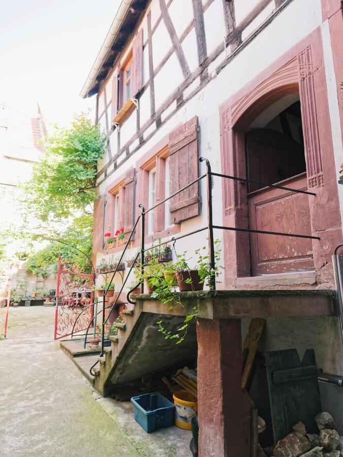 Le Haut Relais Des Seigneurs - 5 Mn Royal Palace De Kirrwiller Bouxwiller  Εξωτερικό φωτογραφία